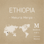 ethiopia_mekuriamergia