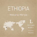 ethiopia_mekuriamergia_l