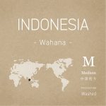 インドネシア・スマトラ ／ ワハナ農園 ／ ウォッシュド 